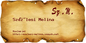 Szélesi Melina névjegykártya